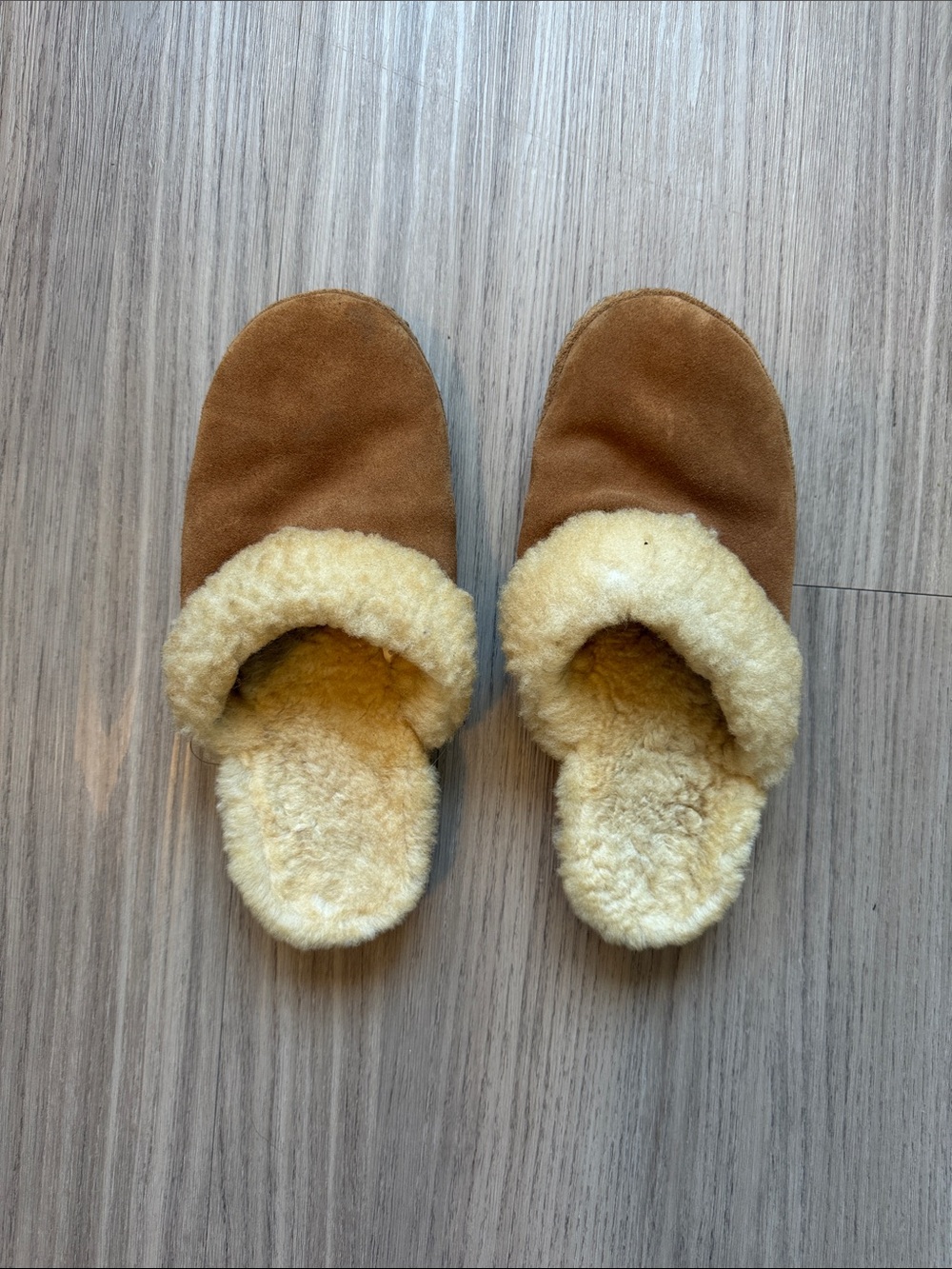 Cozy Shearling-Lined Suede Slippers in Camel